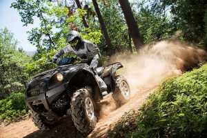 2015 Kawasaki Brute Force 750 4x4i EPS Action 13 High