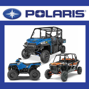 Polaris Dummy Ad