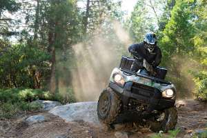 2015 Kawasaki Brute Force 750 4x4i EPS Action 21 High