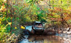 UTV Through Mud