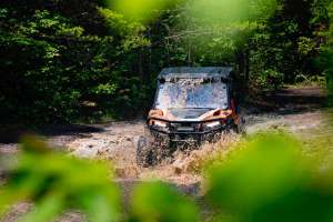 Utv In Water Through Trees