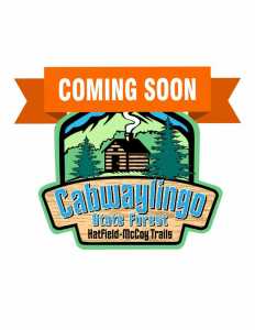Cabwaylingo Logo Coming Soon